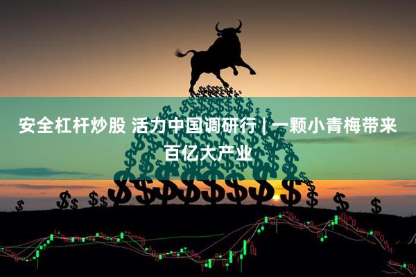 安全杠杆炒股 活力中国调研行 | 一颗小青梅带来百亿大产业